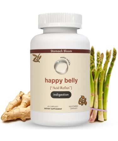 Acid & Indigestion Relief Safe Antacid Alternative for Occasional Acid Reflux & Heartburn Ginger Curcumin Spearmint & More Phd Doctor-Formulated & Clincially-Studied - 30 Servings