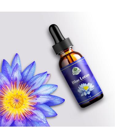 Blue Lotus Essential Oil - Premium Therapeutic Grade for Aromatherapy Diffusers & Skin | Vegan Cruelty-Free Undiluted (30ml - Buy Online on GoSupps.com