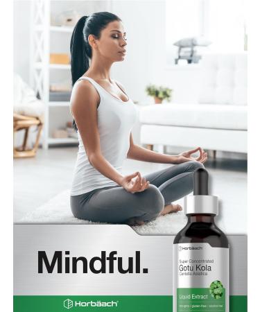 Horb ach Gotu Kola Extract | 2 fl oz | Alcohol Free | Super Concentrated Liquid Herb Supplement | Vegetarian Non-GMO Gluten Free - Buy Online on GoSupps.com