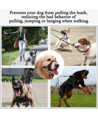 Durable Labrador Dog Head Necklace | Soft Upholstery & Training Instructions - S Rosa/Schwarz - Buy Online on GoSupps.com