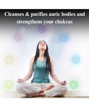 VitaliChi Super Aura and Chakra Repair 10ml - Buy Online on GoSupps.com