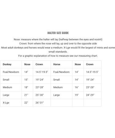 HalterUp Miniature Horse Foal Halter and Lead Rope - Stylish Black Halter for Mini Horses up to 6 Months - Buy Online on GoSupps.com