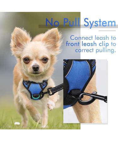 Rabbitgoo Adjustable Dog Harness for Small Dogs - No Pull Control Breast Harness with Reflex Stripes Breathable Design - XS Blue (1 Pack) - Buy Online on GoSupps.com
