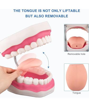 Mounw 6-Fold Enlarged Tongue-Mouth Model for Speech Therapy & Child Tooth Care - Includes Toothbrush | International Shipping Available - Buy Online on GoSupps.com