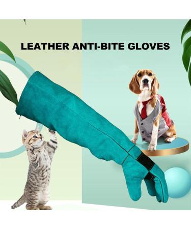 Anti Bite Protective Gloves Bite Resistant and Scratch Resistant Dog Training Gloves and Waterproof Pet Bath Gloves Scratch Resistant Protective Gloves Bite and Scratch Resistant Dog 60 Cm-green - Buy Online on GoSupps.com