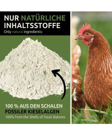 Greenpet Kiesovet Kieselgur for Chickens 4kg | Organic Diatomaceous Soil | Ideal for Poultry Farms - Buy Online on GoSupps.com