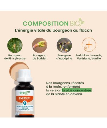 Herbalgemm EnerGem Mental Overload Organic - Overwork and Mental Resistance - Food Supplement Gemmotherapy Concentrated - 30 - Buy Online on GoSupps.com