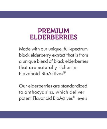 Nature's Way Sambucus Sugar-Free Elderberry Syrup 4 Oz - Immune Support Formula - Buy Online on GoSupps.com