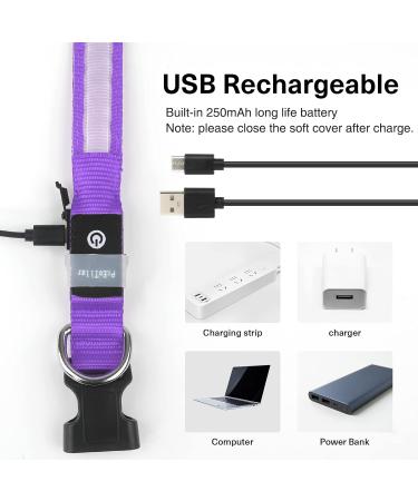 Buy LED Waterproof Dog Collar - Luminous USB-C Adjustable Light for Small & Medium Dogs - 7 Colors Flashing - Purple (38-50cm) - Buy Online on GoSupps.com