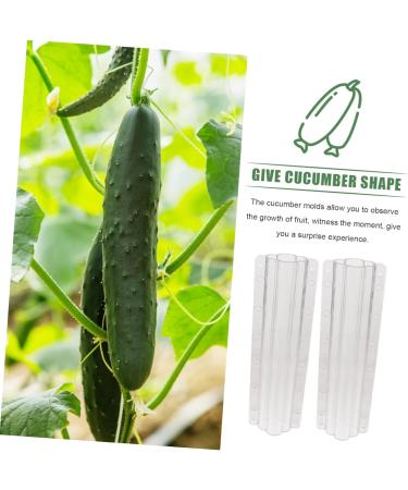 Milisten 6 Pcs Vegetable Shaping Fruit Cucumber Styling Mushroom Picking Garden Square - Buy Online on GoSupps.com