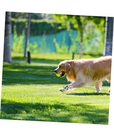 BESPORTBLE 6 Rolls Self-Adhesive Dog Bandages | Colorful Pet Wraps for Wound Care | Convenient Vet Tape for Cats & Dogs - Buy Online on GoSupps.com