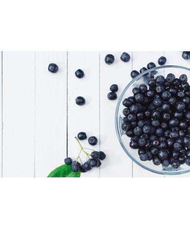 Jeske Sports Supplies Tasty Pott Organic aronia berries dried fruits dark berries fruit snack rich in vitamins smoothie muesli in bag 1000 g - Buy Online on GoSupps.com