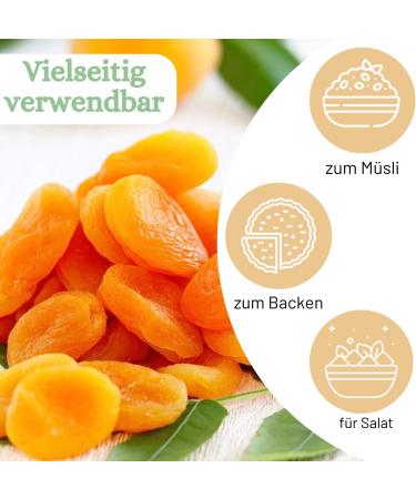  1001 Frucht 1001 Frucht dried apricot 1000g dried fruit cereal dehydration sugar free fruit snack candy turkey dried fruit airsoft non GMO - Buy Online on GoSupps.com