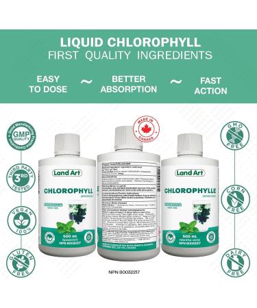 Liquid Chlorophyll Mint Cold Extracted from Non-GMO Alfalfa - Detox - Alkaline - Natural Body Deodorant Antioxidant - Made in Canada (Pack of 2) 500 ml (Pack of 2) - Buy Online on GoSupps.com