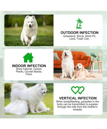 Uocasi Flea and Tick Prevention for Dogs Chewables - Natural Pest Defense Supplement with Peking Duck Flavor (375g, 150 chews) - Buy Online on GoSupps.com