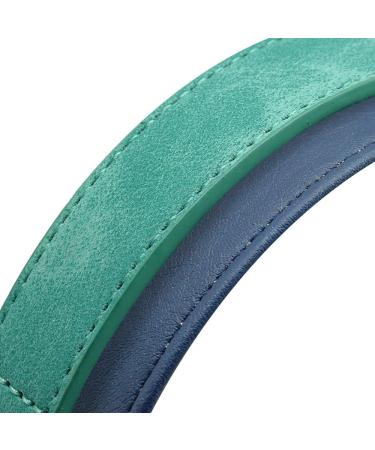 Didog Soft Leather Padded Custom Dog Collar with Personalized Nameplate and D Ring Engraved Dog Collars for Small Medium Large Dogs Green S S:Fit 25-30cm neck Width 1.5cm Green - Buy Online on GoSupps.com
