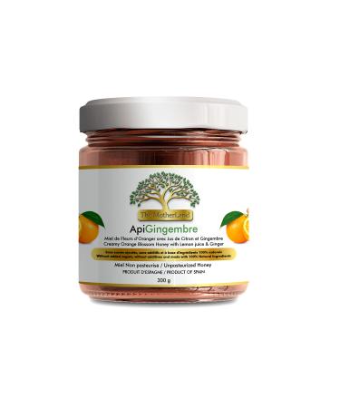 ApiGingembre Orange Blossom Honey with Organic Ginger and Organic Lemon from Spain Unfiltered Unpasteurized No Additif No Suger Added