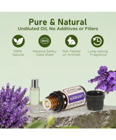 GREENSLEEVES Lavender Essential Oil 10ml Pure Plant-Based Fragrance Oil for Aromatherapy Essential Oils for Diffuser Air Freshener Massage Bath Bomb Scented Candle Soap Making - Buy Online on GoSupps.com