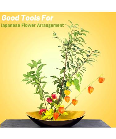 3-Piece Round Gold Floral Arranger Pins for Flower Arrangement & Plant Fixation - Buy Online on GoSupps.com