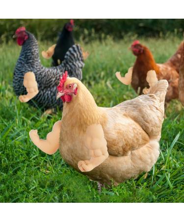 FUAMEY Muscle Chicken Arms Toys for Chickens to Wear  Funny Costume Fist Fighting Arms Toy for Pet Prank Themed Party  Artificial Arms Decorations Costume Cosplay for Chickens Rooster Hens Upgraded version - Buy Online on GoSupps.com