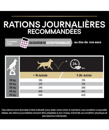 PURINA PRO PLAN | Medium & Large Adult 7+ Age Defense Rich in Chicken Dry Food for Adult Dogs 7 Years and Older 3kg Bag - Buy Online on GoSupps.com