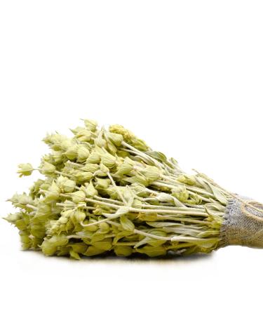 dreikraut Organic Greek mountain tea | Bouquet | 50 g | Traditional cultivation on Olympus | Sideritis scardica/raeseri