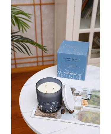 Buy White Sage Sea Salt 3 Wick Candle - 14.5 oz Soy Aromatherapy Candle for Home | Cleansing Energy Sage Scented Candle for Women & Men - Buy Online on GoSupps.com