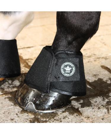 Buy PFIFF 102989 Water Tank - Protect Hooves from Dryness | Black S - International Shipping Available - Buy Online on GoSupps.com