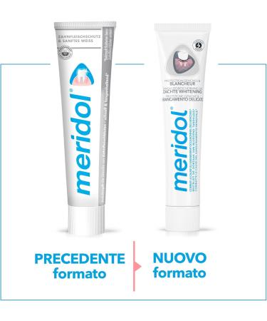 GABA Meridol toothpaste with gum protection and gentle whitening 75 ml - Buy Online on GoSupps.com