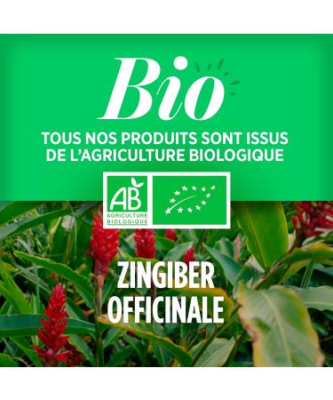 Organic Ginger - 400 mg - 200 tablets - Buy Online on GoSupps.com