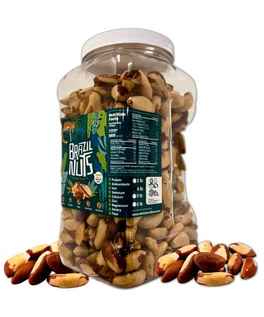 THE AMISH ECO-FARM | Medium Brazil Nuts | Raw and Fresh 5lb Jar