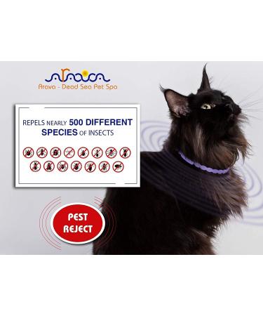 Arava Flea & Tick Prevention Collar for Cats & Kittens - Length 14'' - 11 Natural Active Ingredients - Safe for Babies & Pets - Buy Online on GoSupps.com