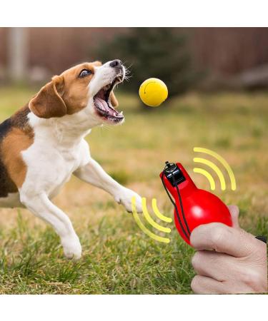 Handpipe Sports Lessons: 2-Piece Trill Whistle Set for Referees Dog Trainers & Coaches - Essential Training Accessories - Buy Online on GoSupps.com