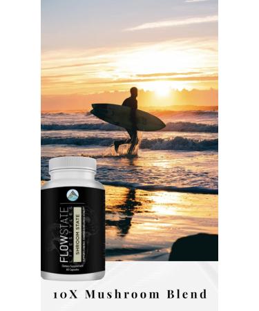 Flow State Lifestyles Mushroom 10X(Shroom State) - Nootropic - Improves Brain Focus and Energy Support - Lions Mane Shiitake Reishi Cordyceps Turkey Tail Chaga - Buy Online on GoSupps.com