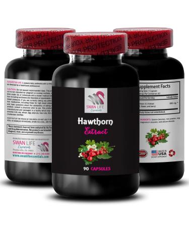 Natural wellness capsules - HAWTHORN EXTRACT - herbal detox booster pure energy supplement organic antioxidant powder immune support formula liquid extract vegan energy boost 1 Bottle 60 Capsules