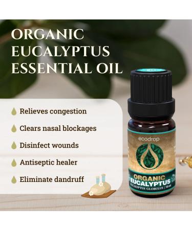 Ecodrop Pure Eucalyptus Essential Oil - 10ml | 100% Natural Therapeutic Grade Globulus Oil - Aromatherapy for Mood, Immunity, Pain Relief - Organic - Buy Online on GoSupps.com