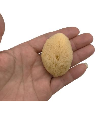 PEPPERLONELY 8PC Natural Silk Facial Sea Sponges Set - Ideal for Body, Face, and Baby Bathing - Honeycomb Type - 2'' to 2-1/4'' - Includes Glove Sponge - Buy Online on GoSupps.com