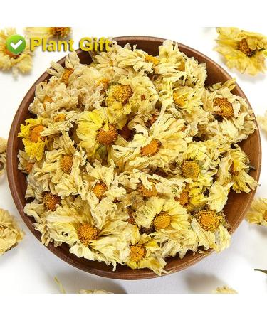 PlantGift White Chrysanthemum Bud 30G/1oz HangZhou Chrysanthemum Flower Tea Chinese Herbel Tea Flower Tea - Buy Online on GoSupps.com