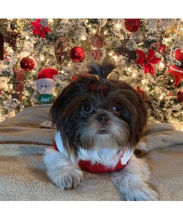 Warm Christmas Dog Sweater | Turtleneck Knitwear for Puppies | Festive Elk Design | Perfect Holiday Pet Costume - Buy Online on GoSupps.com