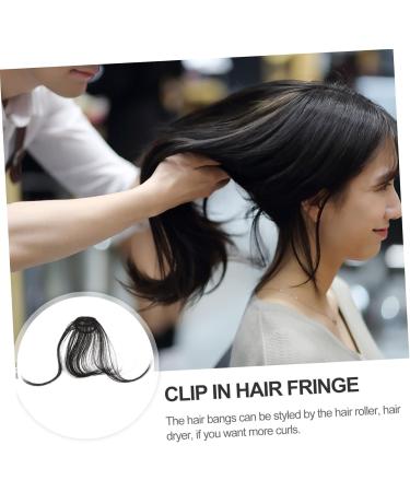 MAGICLULU Piece Womens Hair Clips Ladies Wigs Black Hair Clips French Barrette Bangs Hair Clip Thick Braided Hair Clips Clip Bangs Clip in Fringe Clip in Bangs Real Hair Slim Curtain Miss medium Black - Buy Online on GoSupps.com
