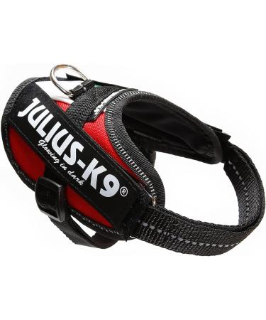 Shop IDC Powerharness for Babies | Size 2XS | Italian Colors | International Shipping Available - Buy Online on GoSupps.com