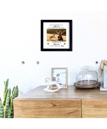 KCRasan Dog Memorial Picture Frame - Pet Loss Gift - Remembrance Frame for Dog or Cat - Sympathy Pet Tribute Keepsake (9x9 Black) - Buy Online on GoSupps.com
