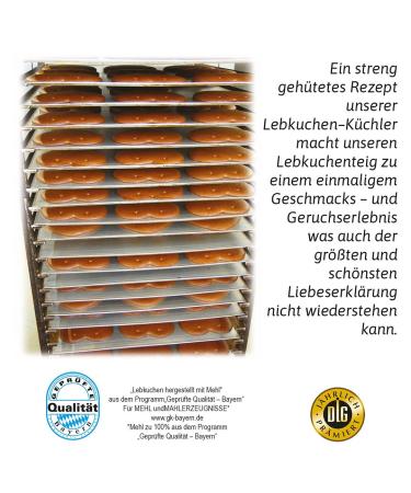 Buy Gingerbread Hearts - 10 Piece Oktoberfest Lebkuchen from Munich | Original Fresh Confectionery | Unique Pet Seed Sayings | Affordable Prices - Buy Online on GoSupps.com