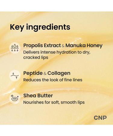 CNP Lip Duo - Honey Lip Butter Bundle | Hydrating Overnight Manuka Lip Balm & Mask 12hrs Long-lasting Moisture Gentle Exfoliation Korean Skin Care - Buy Online on GoSupps.com