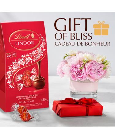 LINDT LINDOR Milk Chocolate Truffles Jumbo Bag 52 Count of Truffles 650g Bag Individually Wrapped Chocolate Christmas Chocolate Christmas Gift - Buy Online on GoSupps.com