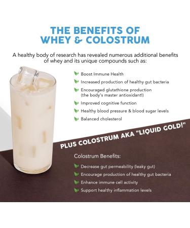 Paleovalley 100% Grassfed Whey Protein Powder with Colostrum 30 Serving 13g Protein Vanilla Muscle Building Immune Support Gut Health - Buy Online on GoSupps.com