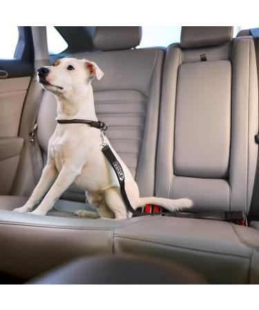 Adjustable Dog Safety Belt for Car-Dog Seat Belt for Car -Dog Car Harness | Pet Travel Accessories. (Black) - Buy Online on GoSupps.com