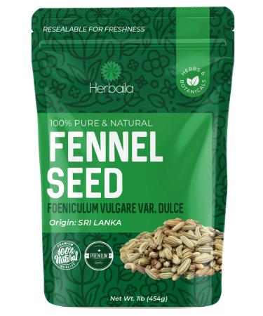 Fennel Seeds 1 Pound, Supports Healthy Digestion, Relieves Bloating/Gas, Whole Fennel Seeds in Bulk Resealable Bag, non-GMO & Kosher
