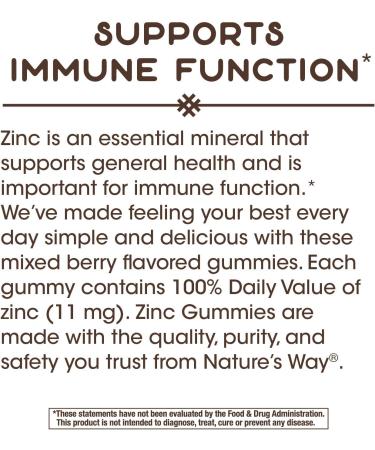 Nature's Way Immune Gummies Bundle - Zinc & Vitamin D3 Support - 120 Gummies - Delicious Berry and Fruit Flavors - Buy Online on GoSupps.com