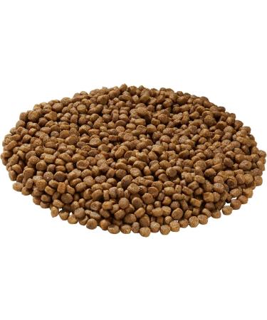 Health Extension Little Bites Dry Dog Food - Chicken & Brown Rice Recipe 4lb - for Teacup, Toy & Miniature Dogs - Natural with Added Vitamins & Minerals - Buy Online on GoSupps.com